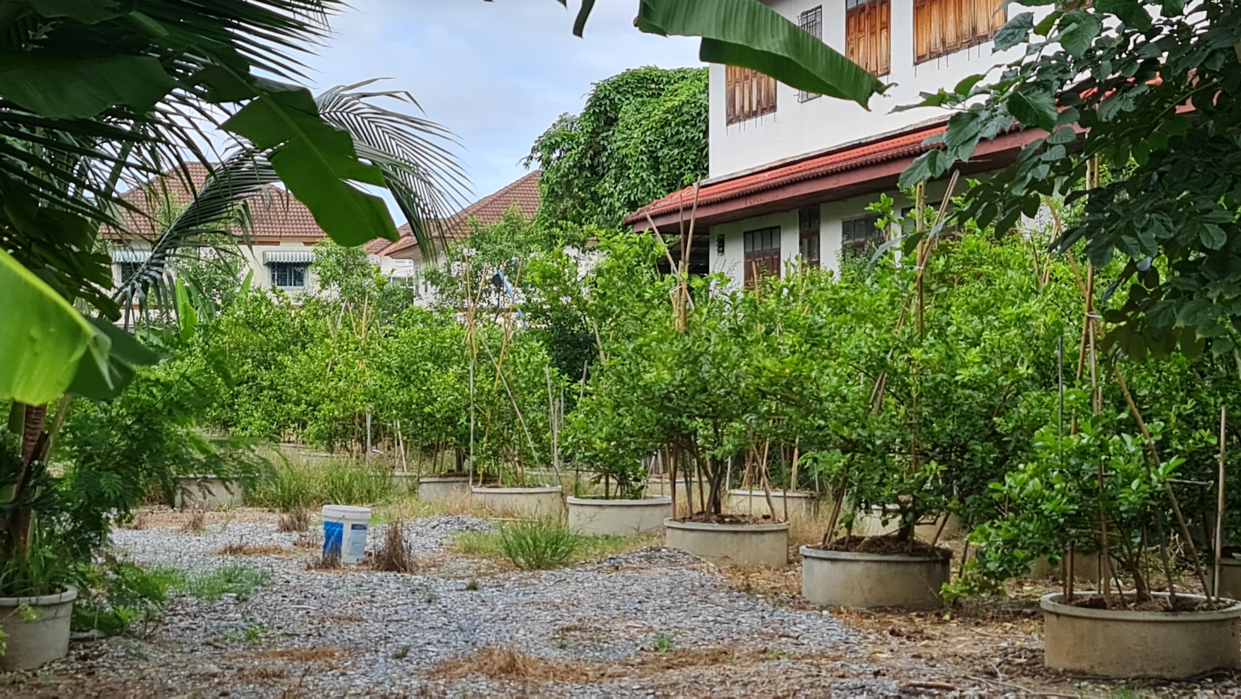 [ขายด่วน] ที่ดินแปลงใหญ่ 498 ตร.ว. พร้อมบ้านหลังใหญ่ ติดคลอง บรรยากาศร่มรื่น ย่านบางกรวย